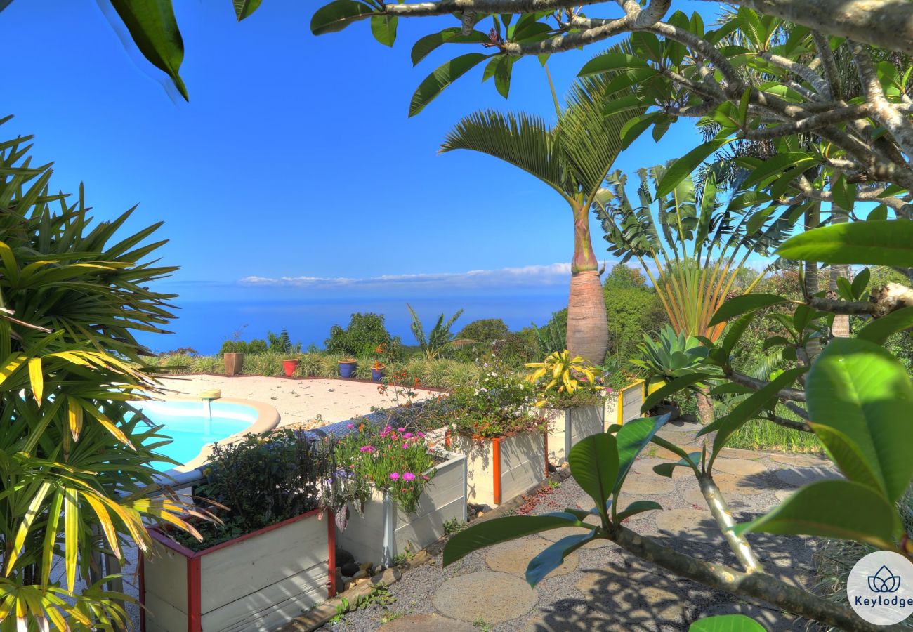 Villa in PETITE-ILE - Kaz des Hortensias – Heated Swimming Pool – Petit-Île